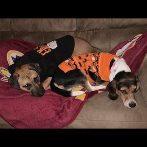 Meet your Posher, Candice